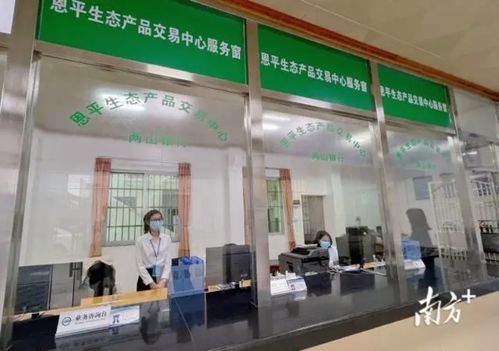 綠水青山變金山銀山 恩平生態產品交易中心成立，家政服務助力生態價值轉化